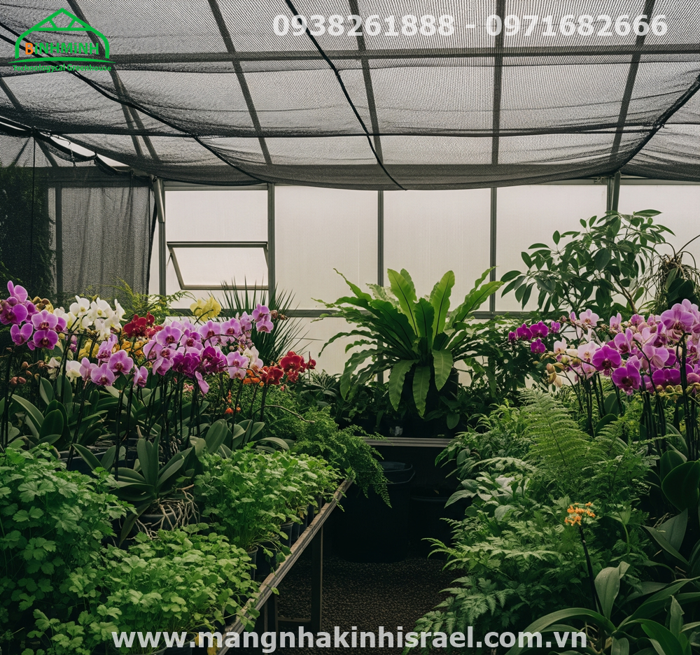 Màng Nhà Kính – Bí Quyết Giúp Nông Dân Trồng Rau Quả Hiệu Quả Theo Khí Hậu Địa Phương